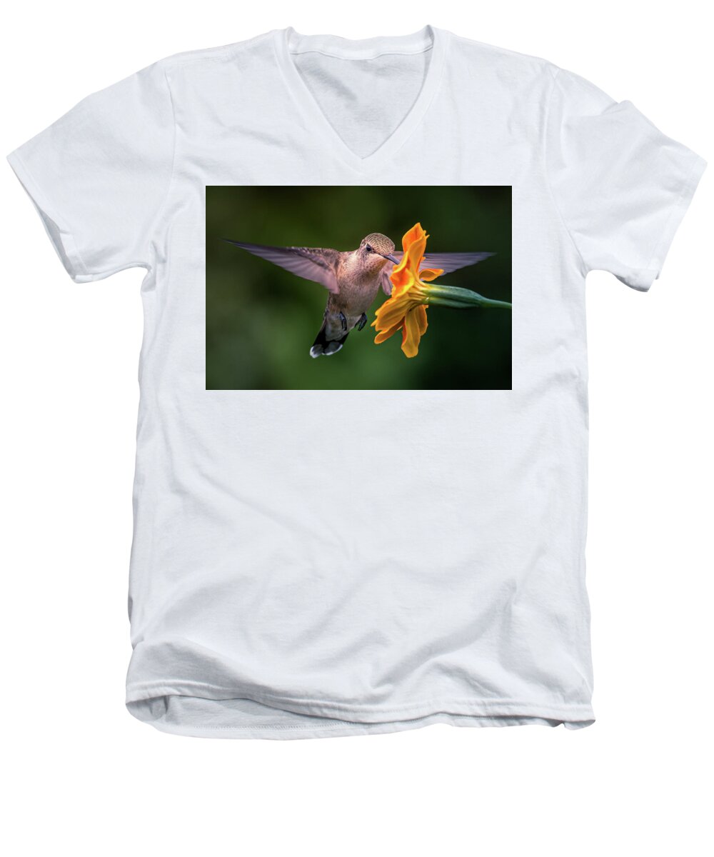 Hummingbird Men's V-Neck T-Shirt featuring the photograph Capturing the Moment by Allin Sorenson