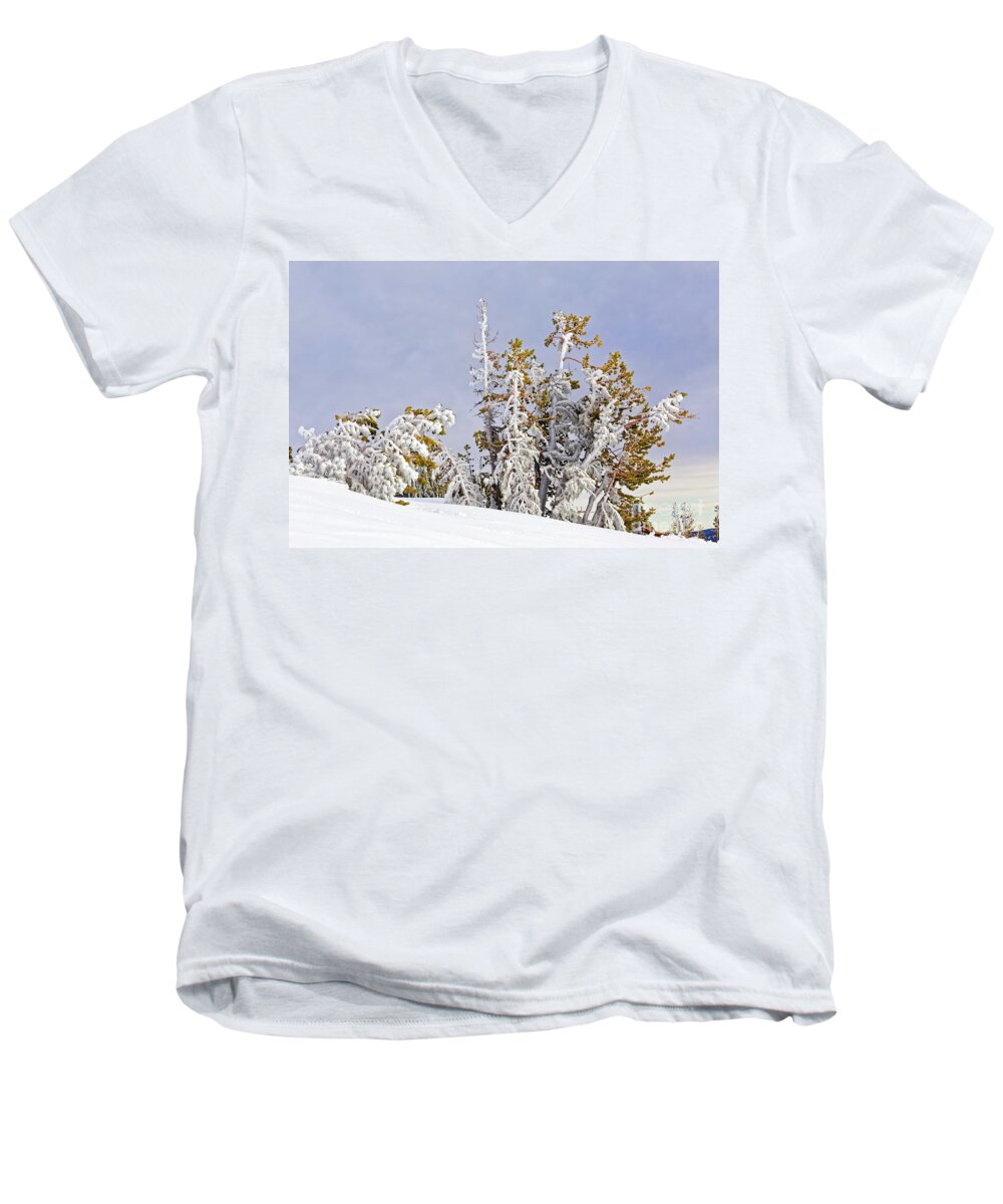 Nature Men's V-Neck T-Shirt featuring the photograph Cluster Of Windblown Ice Covered 15 Tall Conifer Trees Snow Hillside Tree Line Blue Gray Sky by Robert C Paulson Jr