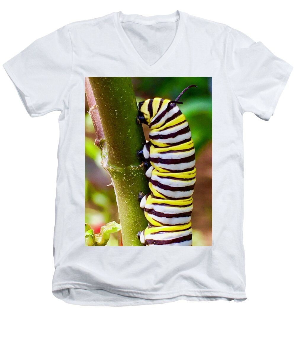 Caterpillar Men's V-Neck T-Shirt featuring the photograph Heading Out to Lunch by Debra Grace Addison