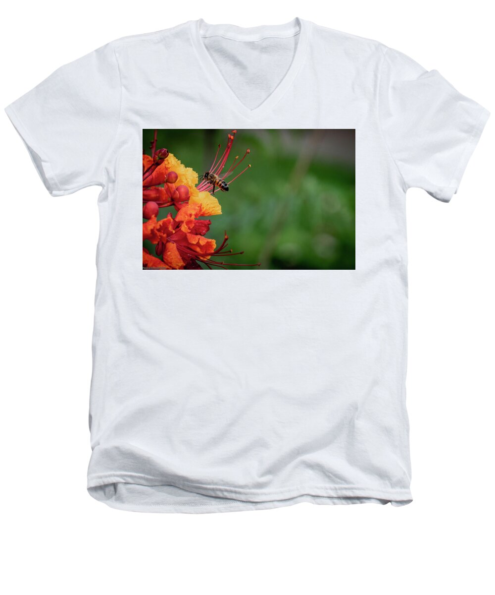 Pride Of Barbados Men's V-Neck T-Shirt featuring the photograph Honey Bee Extraction by G Lamar Yancy