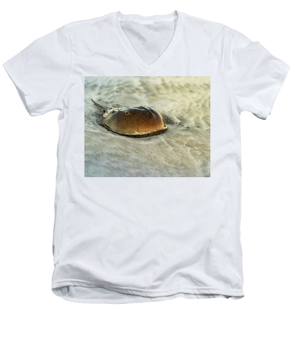 Beach Men's V-Neck T-Shirt featuring the photograph Horseshoe Crab on the Beach by William Dickman