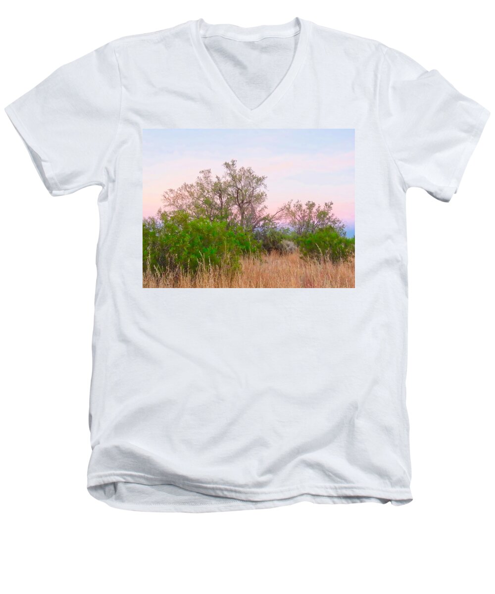 Affordable Men's V-Neck T-Shirt featuring the photograph Ironwood Trees After Sundown by Judy Kennedy
