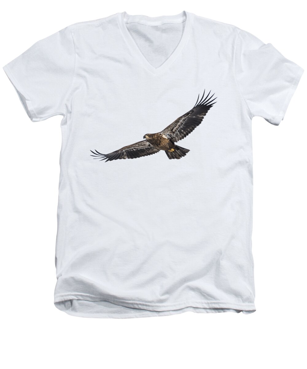 Juvenile Bald Eagle Men's V-Neck T-Shirt featuring the photograph Isolated Bald Eagle 2018-3 by Thomas Young