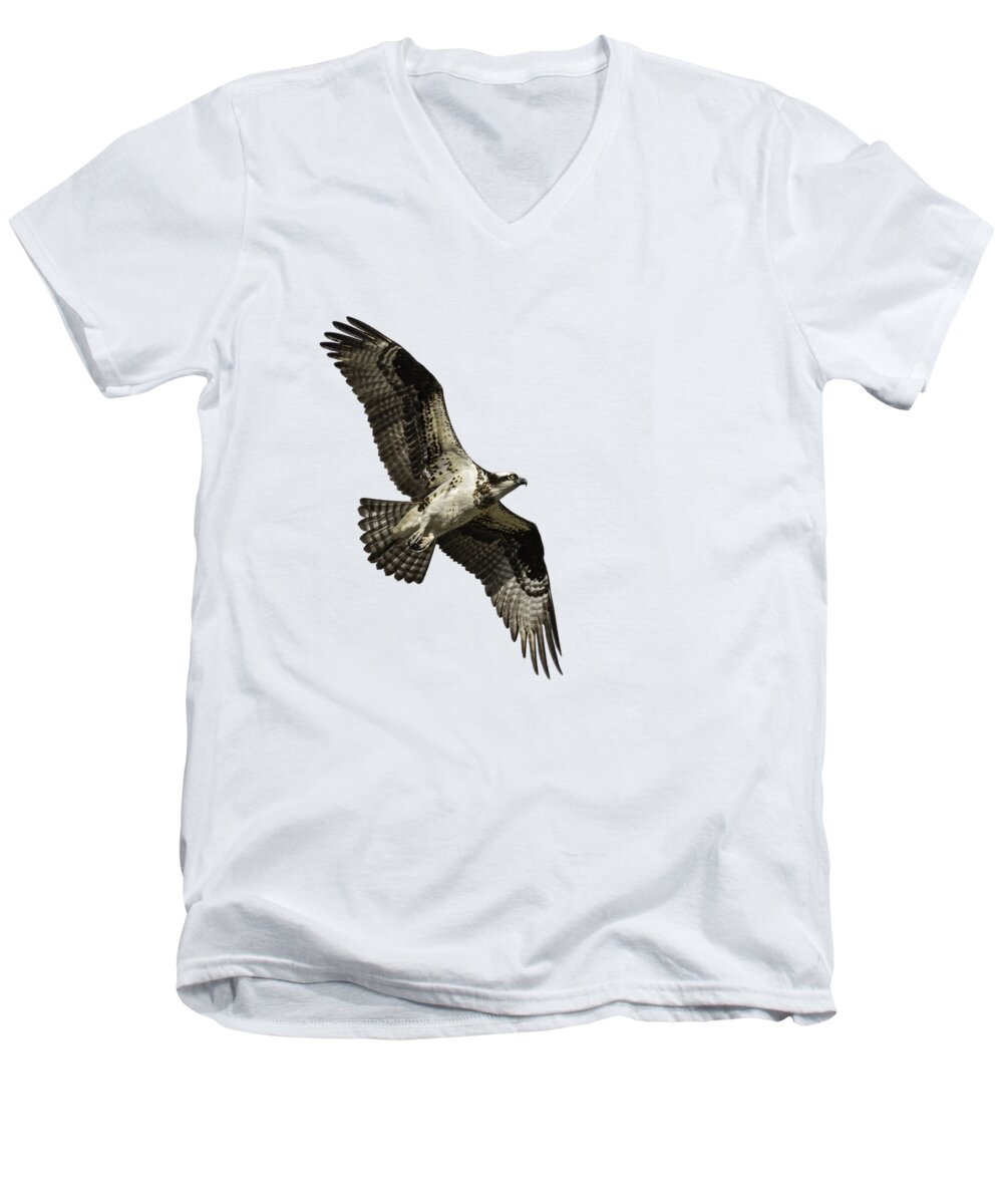 Osprey Men's V-Neck T-Shirt featuring the photograph Isolated Osprey 2019-2 by Thomas Young
