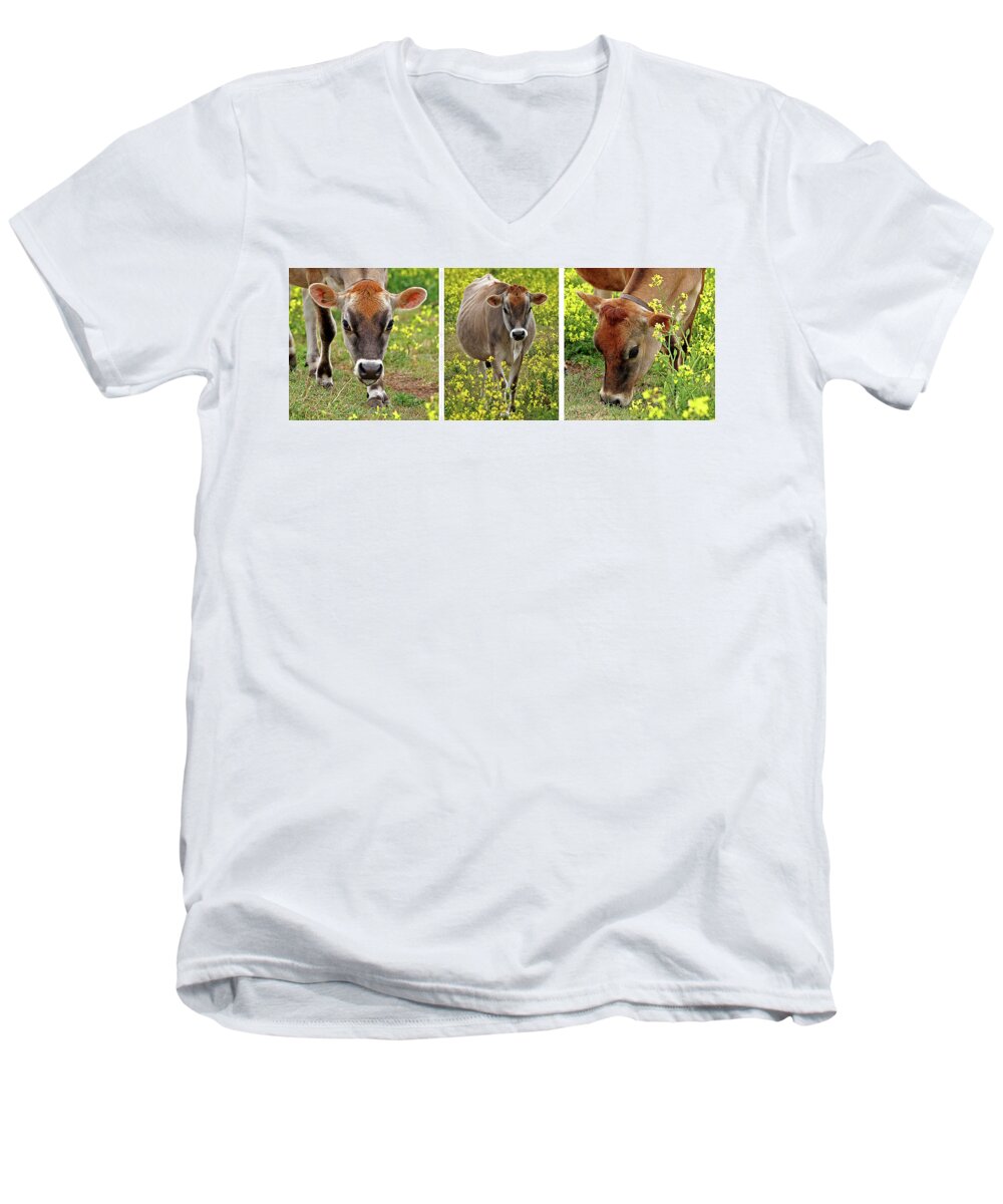 Jersey Cow Men's V-Neck T-Shirt featuring the photograph Jersey Fields of Gold by Gill Billington