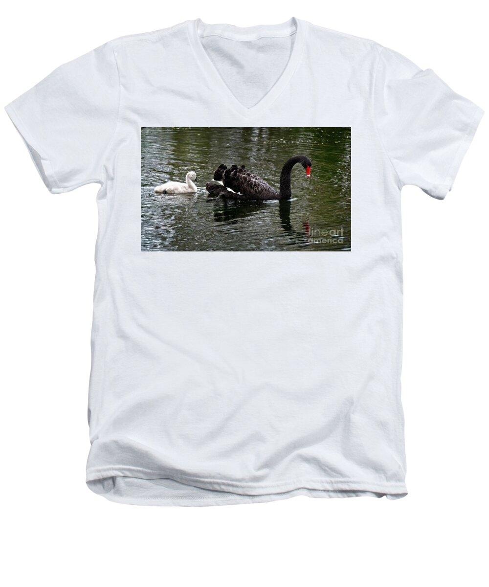 Swan Men's V-Neck T-Shirt featuring the photograph Mother and baby by Fran Woods