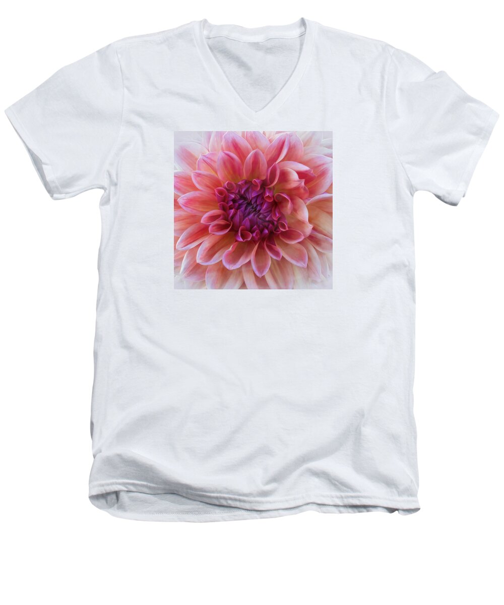 Dahlia Men's V-Neck T-Shirt featuring the photograph Pink Dahlia Oil by Catherine Avilez