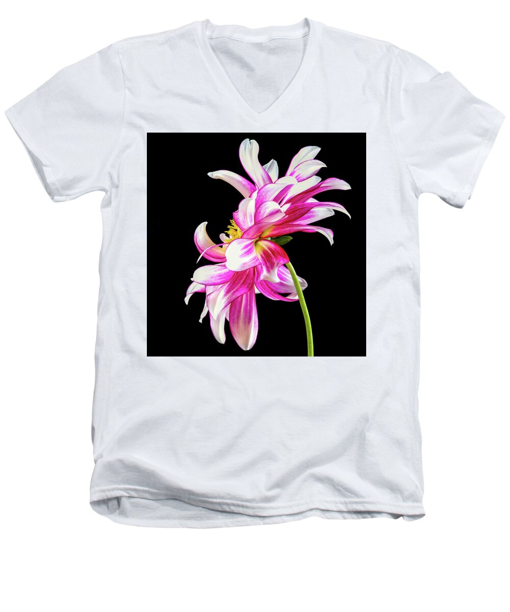 Color Men's V-Neck T-Shirt featuring the photograph Pink Dahlia Profile by Jean Noren