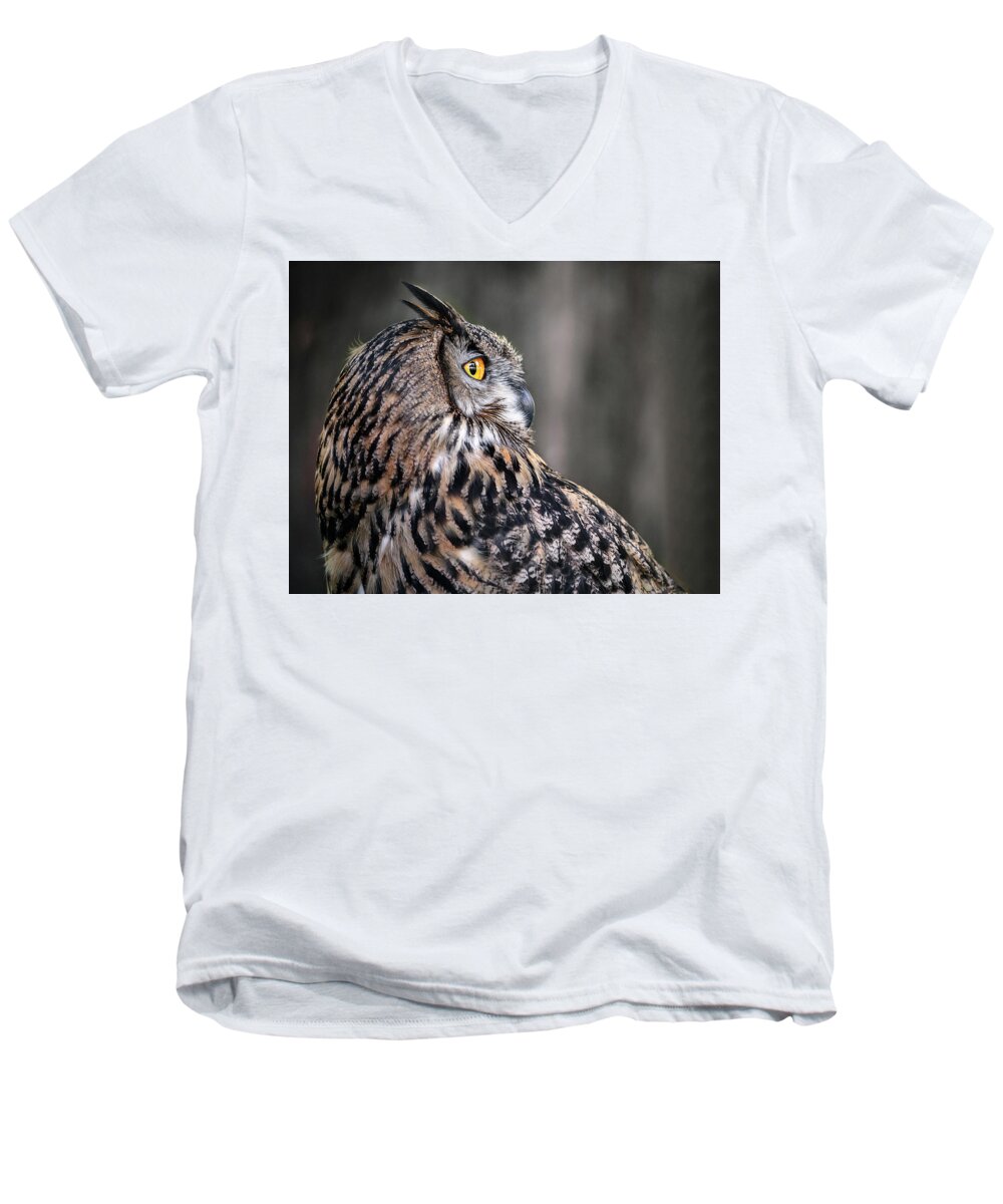 Portrait Of An Owl Men's V-Neck T-Shirt featuring the photograph Portrait Of An Owl by Wes and Dotty Weber