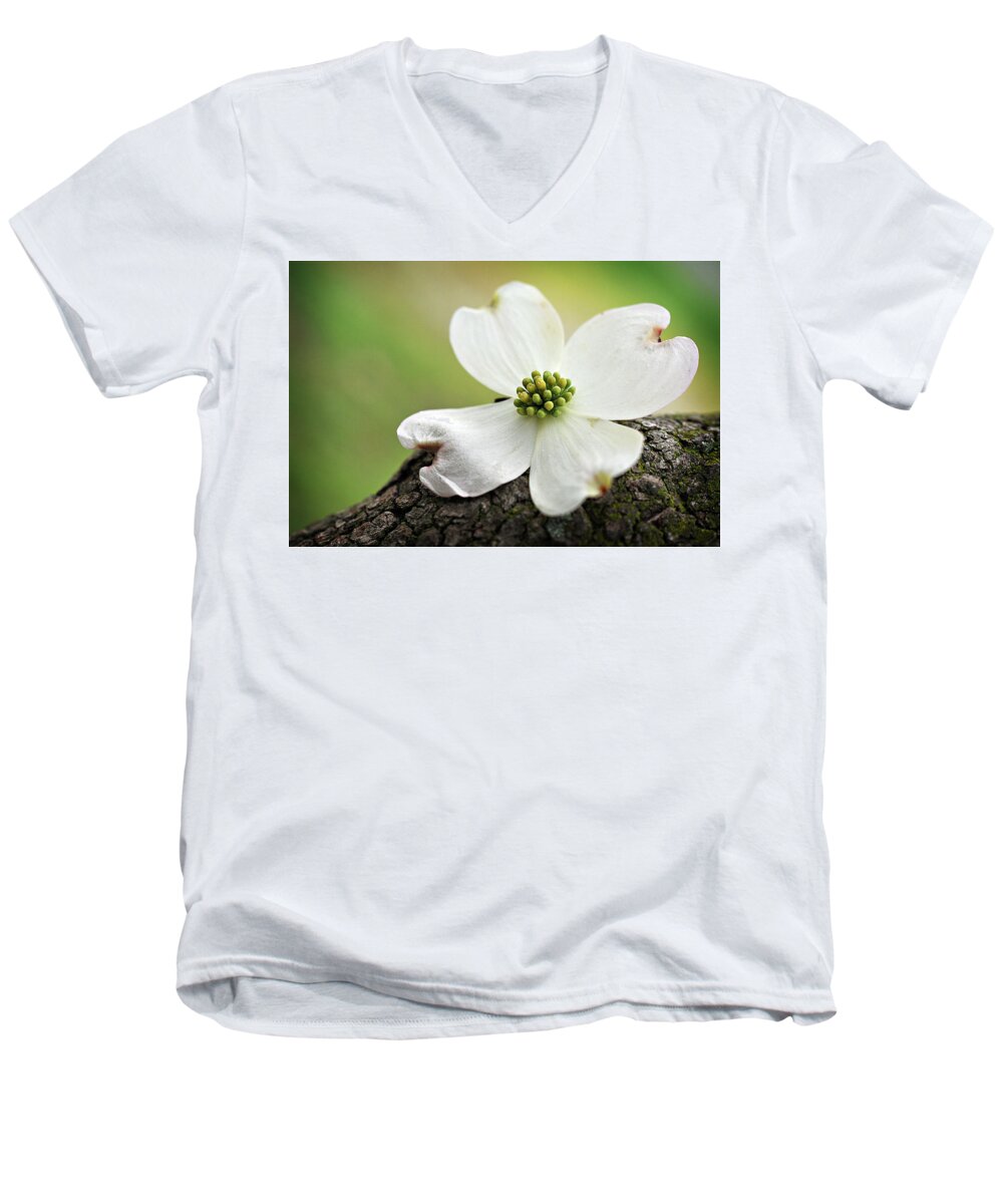 Dogwood Men's V-Neck T-Shirt featuring the photograph Raining Sunshine by Michelle Wermuth