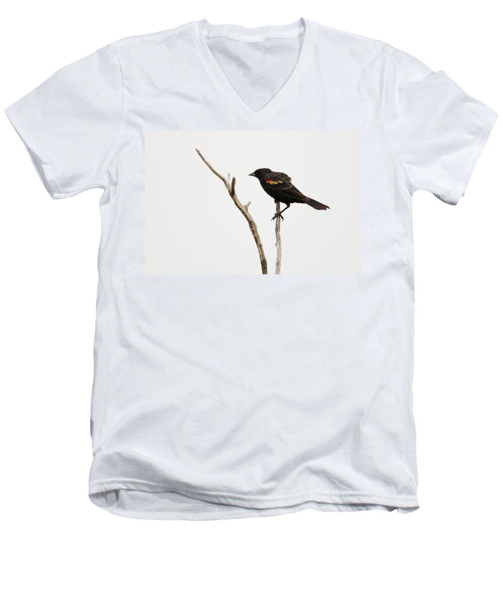 Red Winged Blackbird Men's V-Neck T-Shirt featuring the photograph Red Winged Blackbird by Ryan Crouse