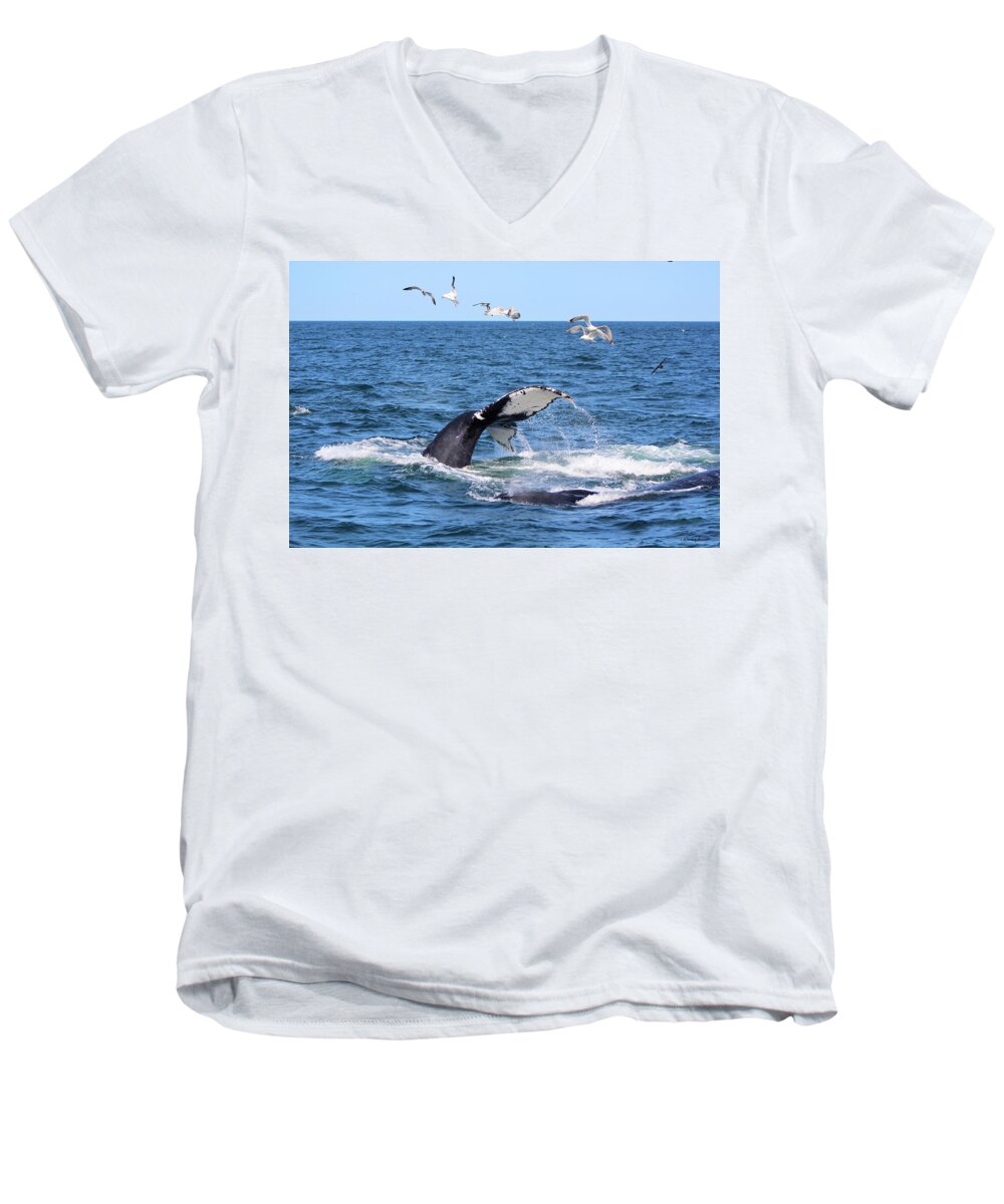 Whale Tail Men's V-Neck T-Shirt featuring the photograph Whale Tail by Linda Sannuti