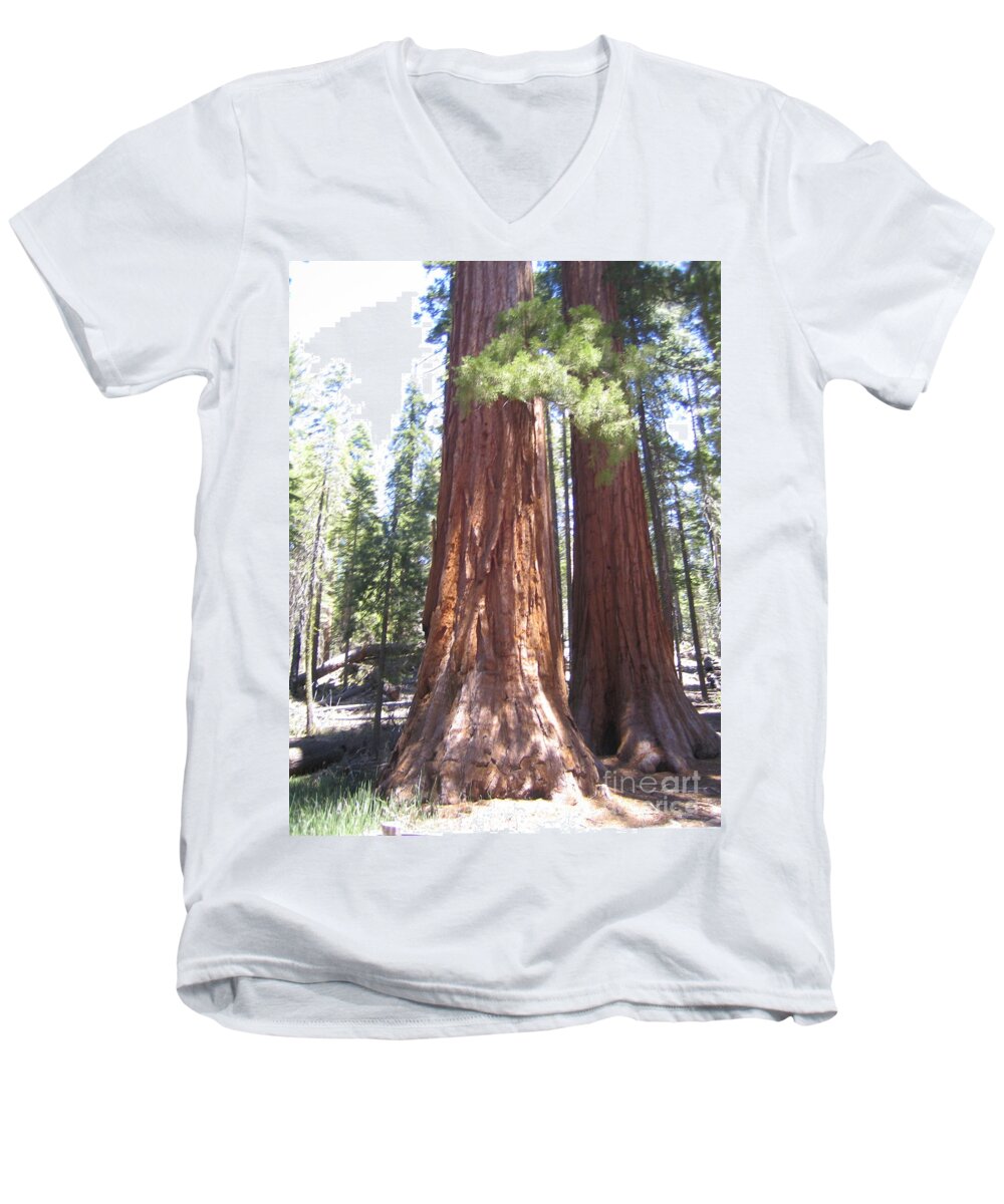 Yosemite Men's V-Neck T-Shirt featuring the photograph Yosemite National Park Mariposa Grove Twin Giant Ancient Trees by John Shiron
