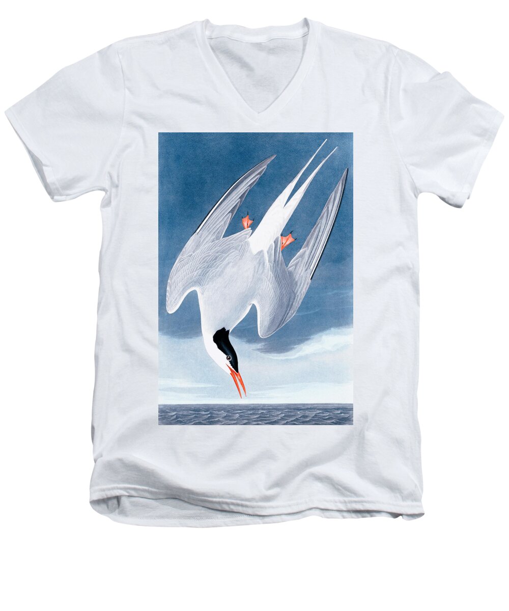 John James Audubon Men's V-Neck T-Shirt featuring the drawing Arctic tern by John James Audubon by Mango Art