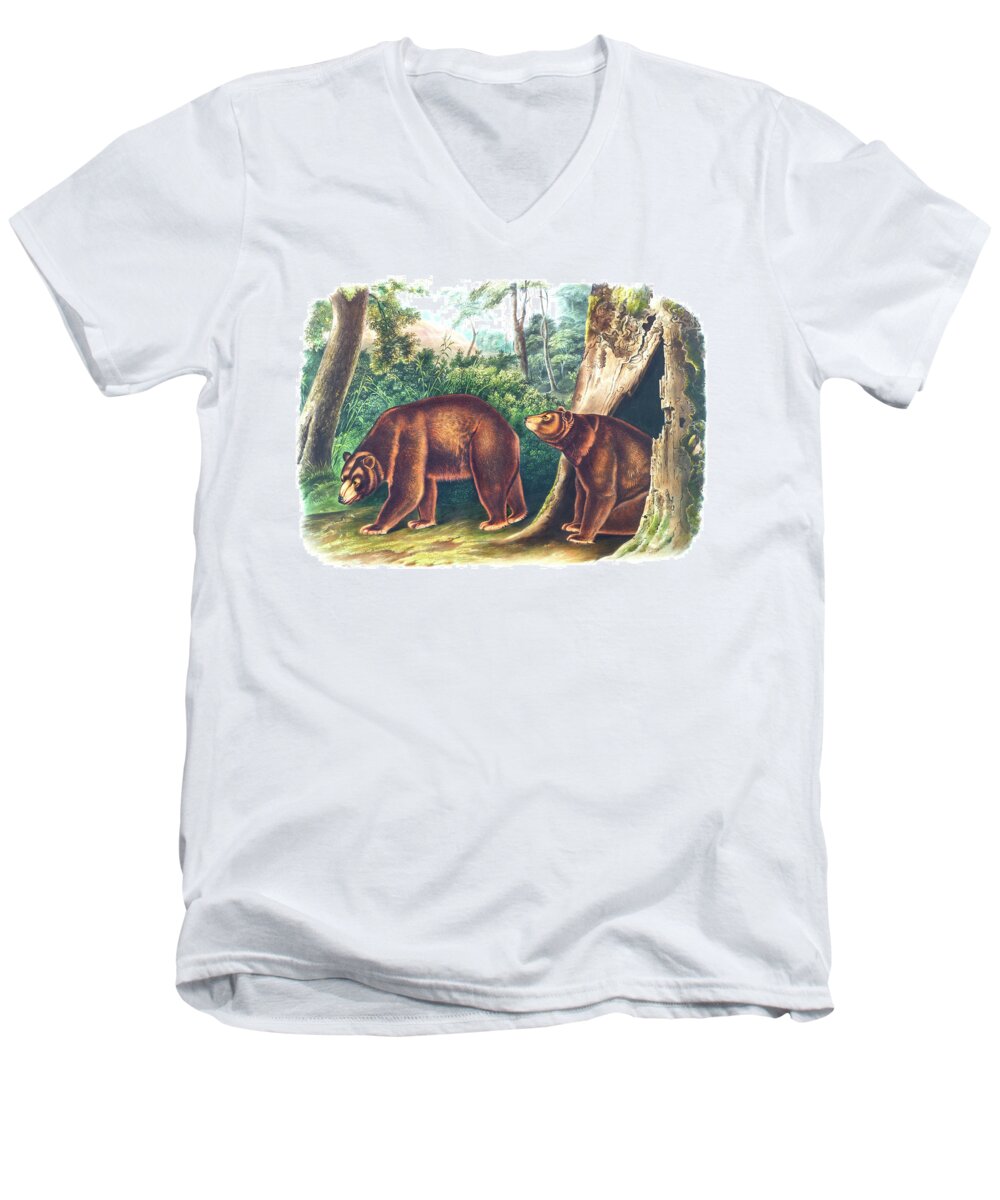 Cinnamon Bear Men's V-Neck T-Shirt featuring the drawing Cinnamon Bear by John Woodhouse Audubon