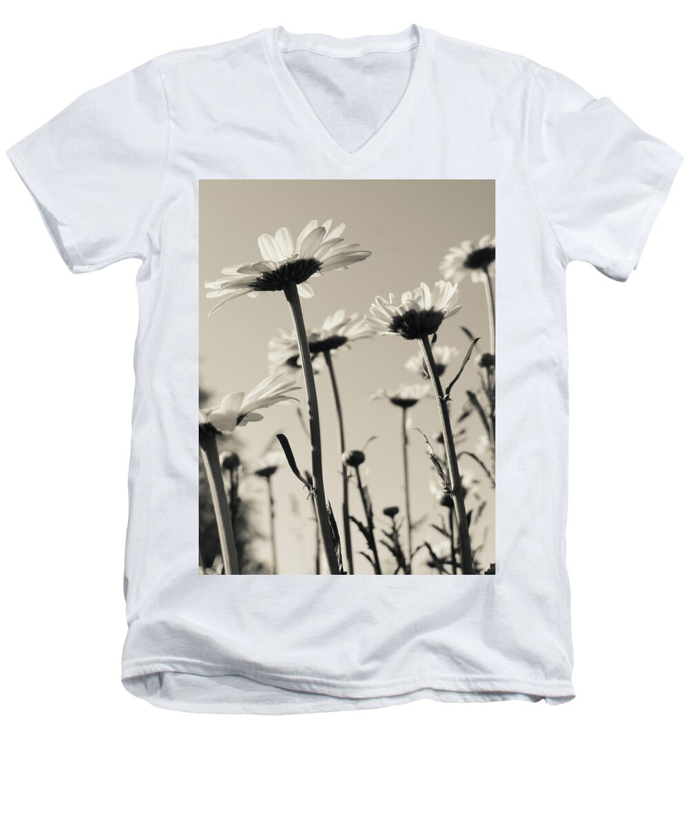Flowers Men's V-Neck T-Shirt featuring the photograph Daisies by Julia Wilcox