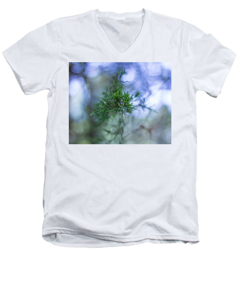 Tree Men's V-Neck T-Shirt featuring the photograph Evergreen by David Beechum