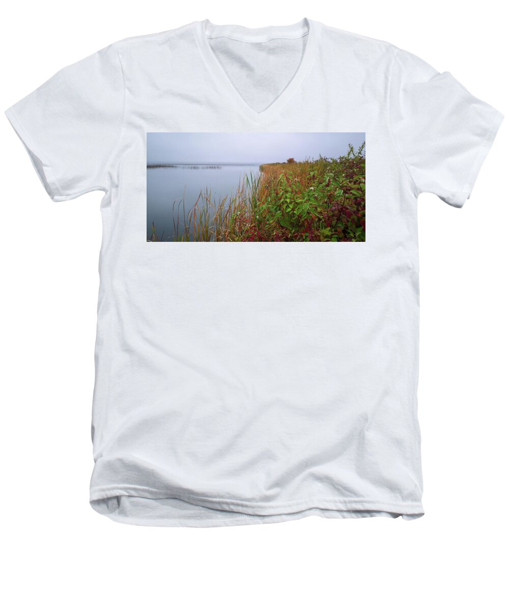 Grass Men's V-Neck T-Shirt featuring the photograph Grasses by James Canning
