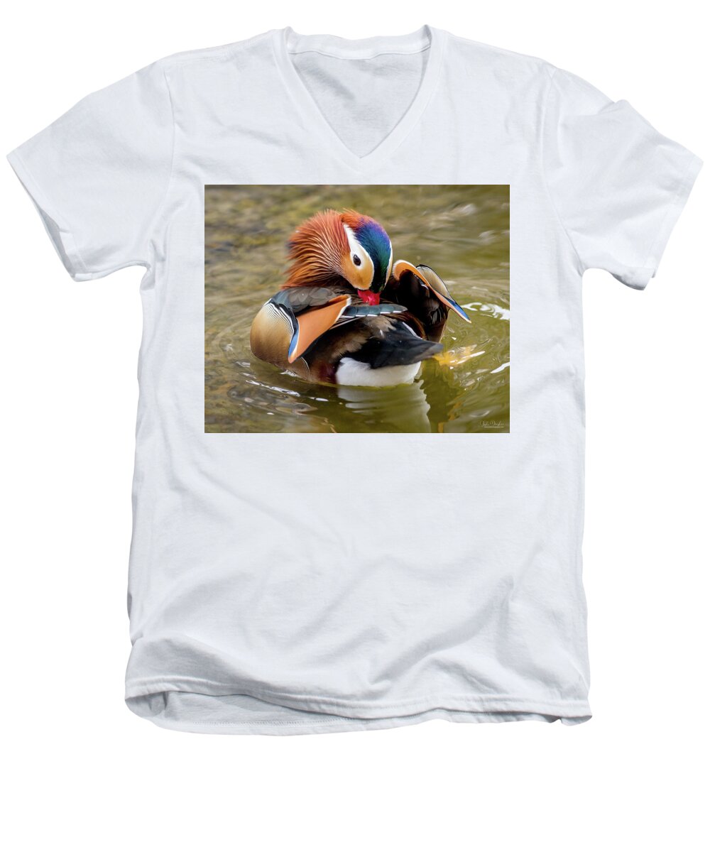 Mandarin Ducks Men's V-Neck T-Shirt featuring the photograph Mandarin Duck Preening Feathers by Judi Dressler
