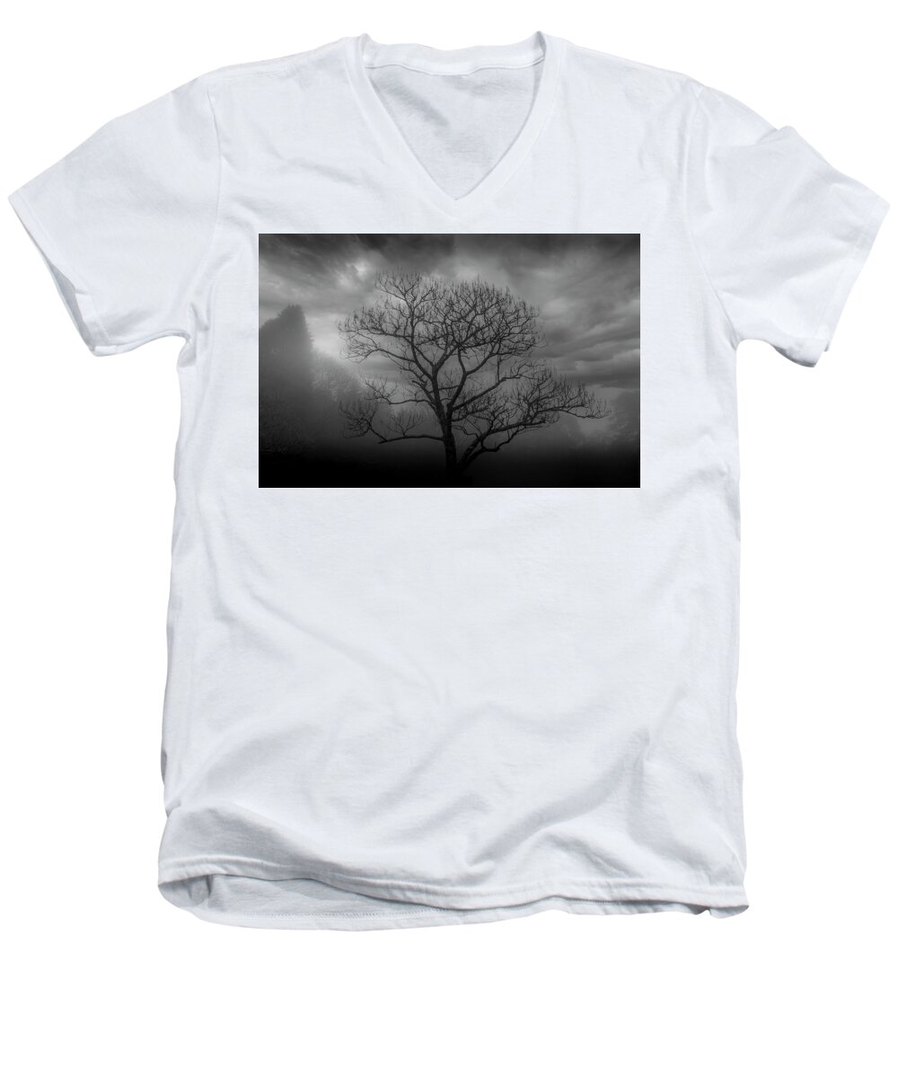 Mist Men's V-Neck T-Shirt featuring the photograph Moody Tree by Chris Boulton