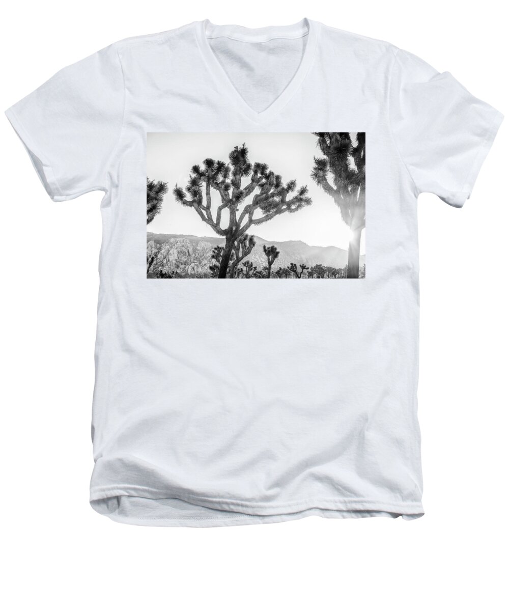 Sunrise Men's V-Neck T-Shirt featuring the photograph Morning Glory Joshua Tree National Park by Joseph S Giacalone