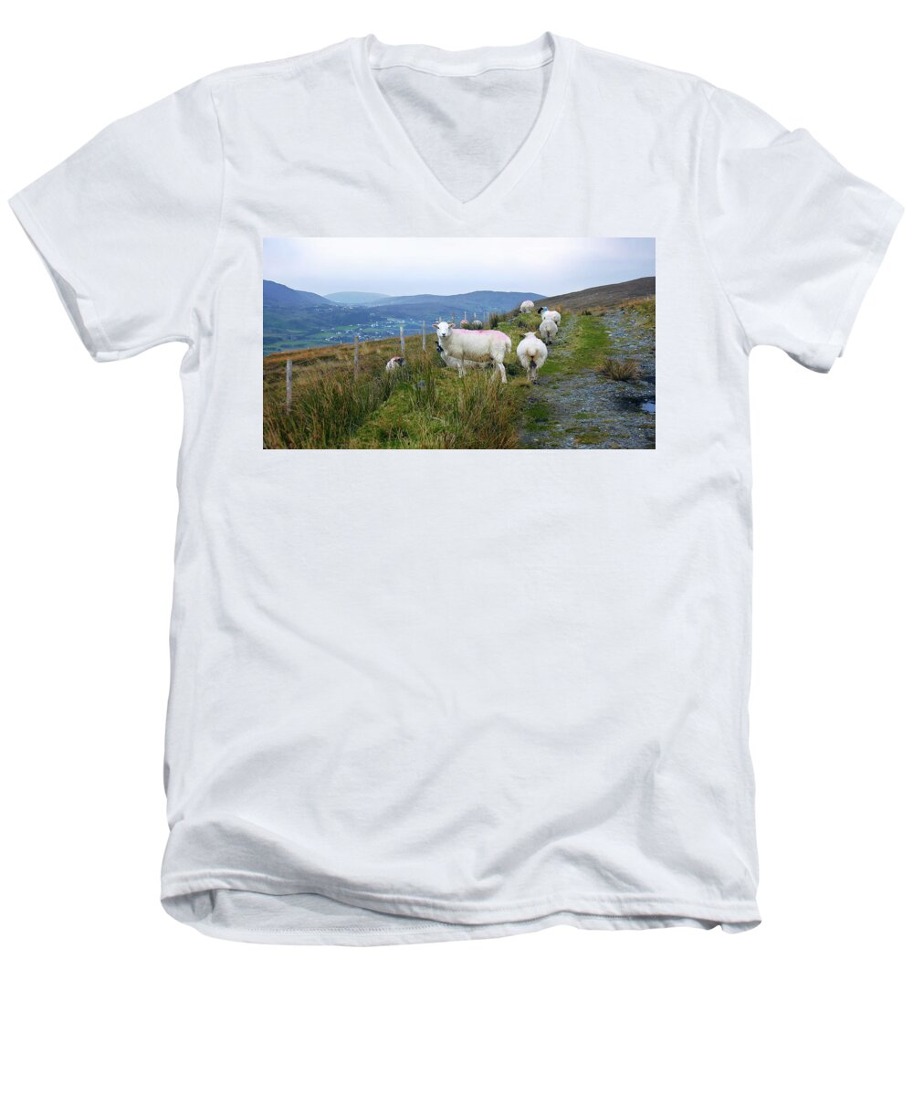 Sheep Men's V-Neck T-Shirt featuring the photograph Path to Rural Glencolmcille by Lexa Harpell