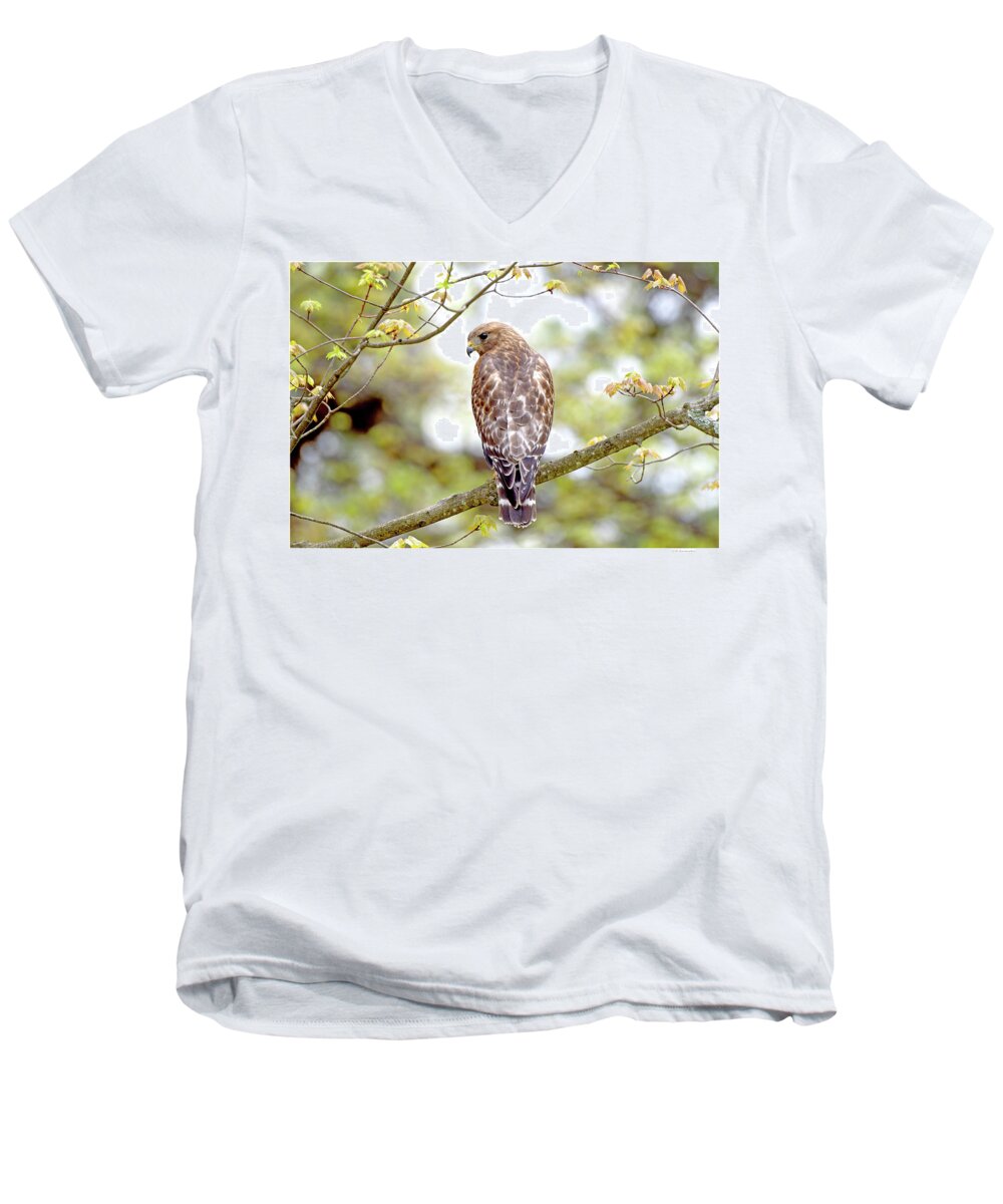 Bird Men's V-Neck T-Shirt featuring the photograph Sharp-shinned Hawk by A Macarthur Gurmankin