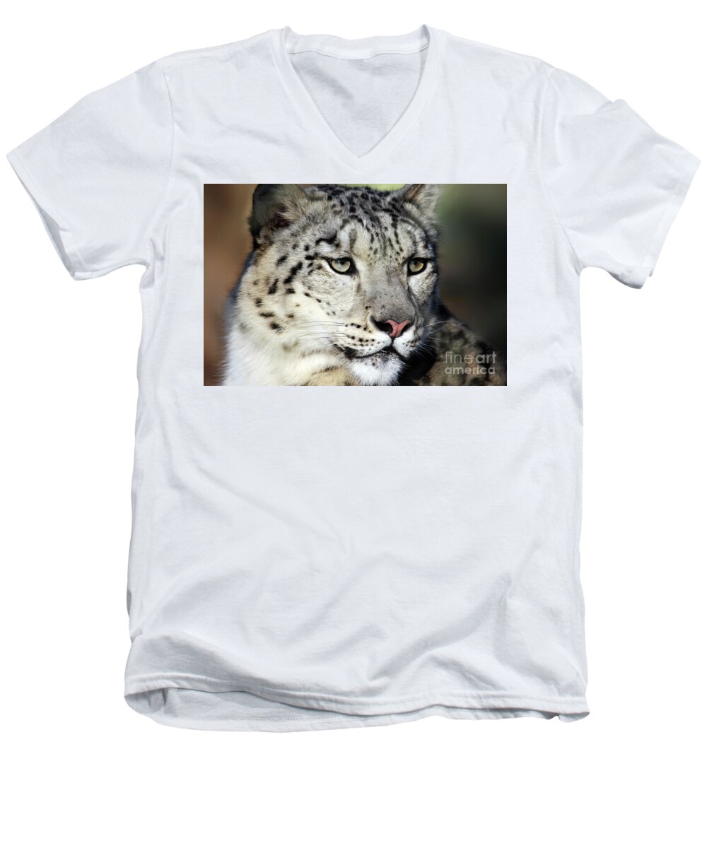 Snow Leopard Men's V-Neck T-Shirt featuring the photograph Snow Leopard Uncia uncia by Terri Waters