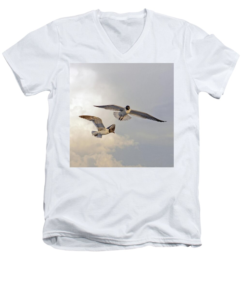 Seagulls In Flight Men's V-Neck T-Shirt featuring the photograph Soaring by Don Spenner