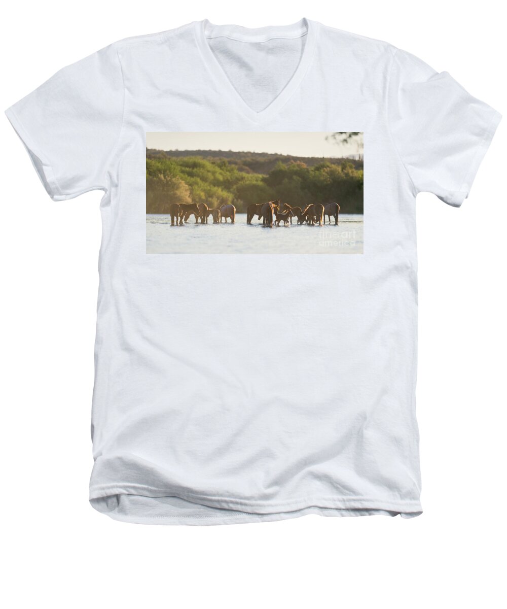 Salt River Wild Horses Men's V-Neck T-Shirt featuring the photograph The Salt River by Shannon Hastings