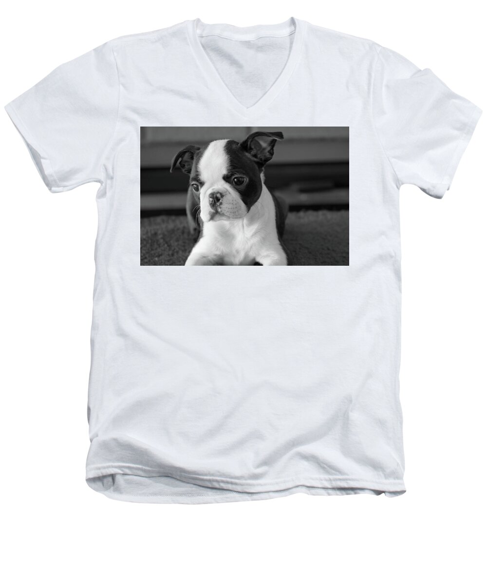 Puppy Men's V-Neck T-Shirt featuring the photograph Thinking of You by Alana Thrower