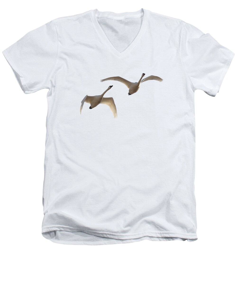 Two Men's V-Neck T-Shirt featuring the photograph Two Trumpeter Swans by Whispering Peaks Photography