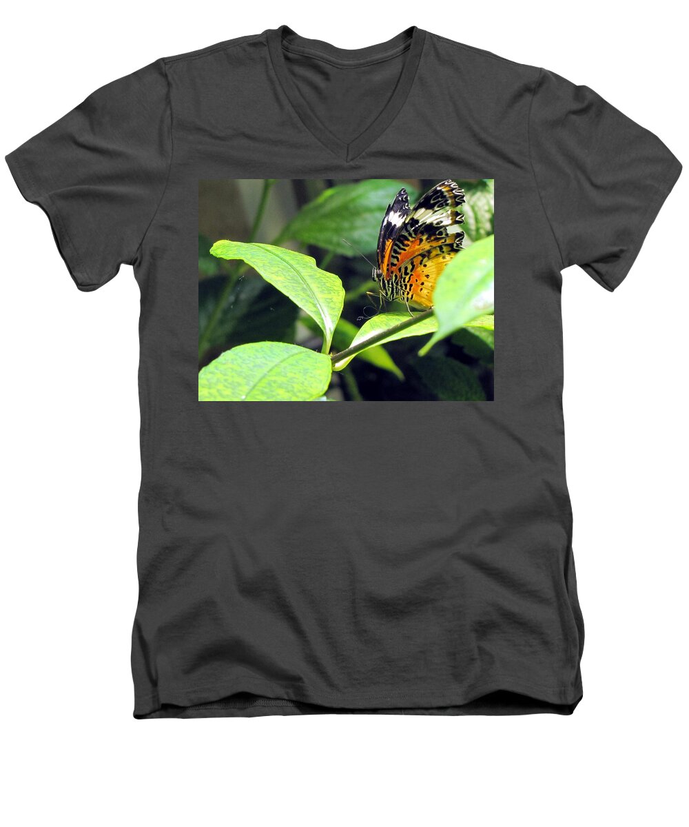 Butterfly Men's V-Neck T-Shirt featuring the photograph Tiger Wings by Jennifer Wheatley Wolf