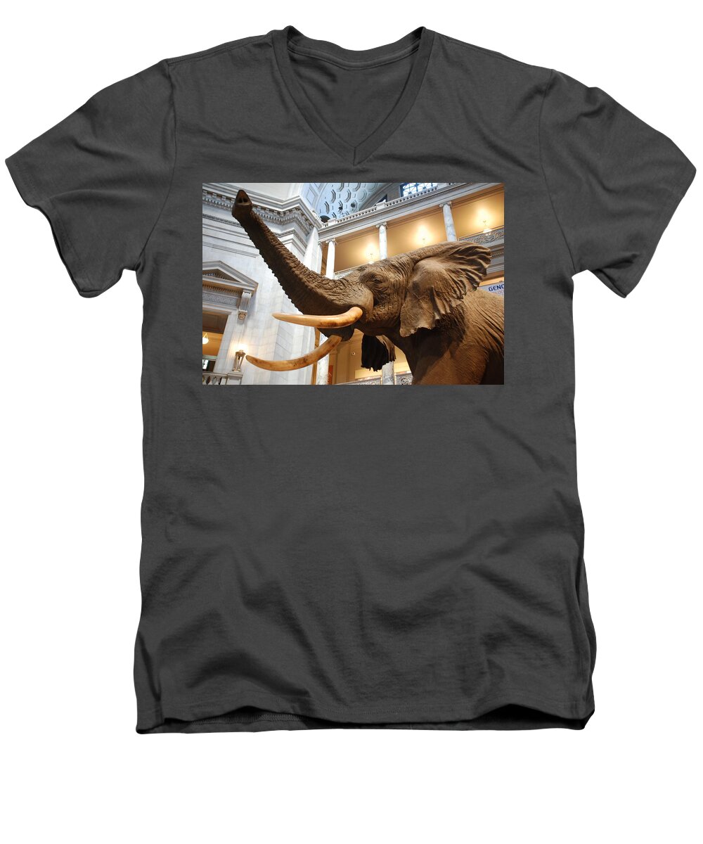 Bull Elephant Men's V-Neck T-Shirt featuring the photograph Bull Elephant in Natural History Rotunda #7 by Kenny Glover