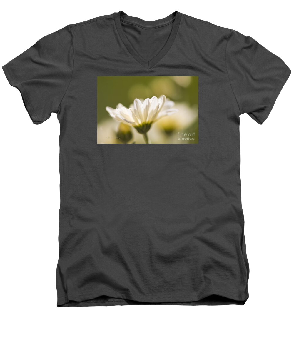 Chrysanthemum Men's V-Neck T-Shirt featuring the photograph Chrysanthemum Flowers #2 by Richard J Thompson 