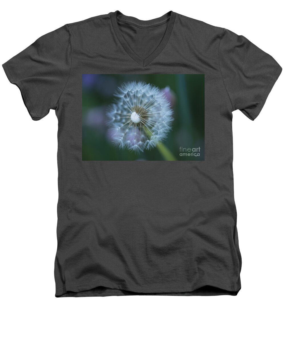 Landscape Men's V-Neck T-Shirt featuring the photograph Dandelion #1 by Alana Ranney