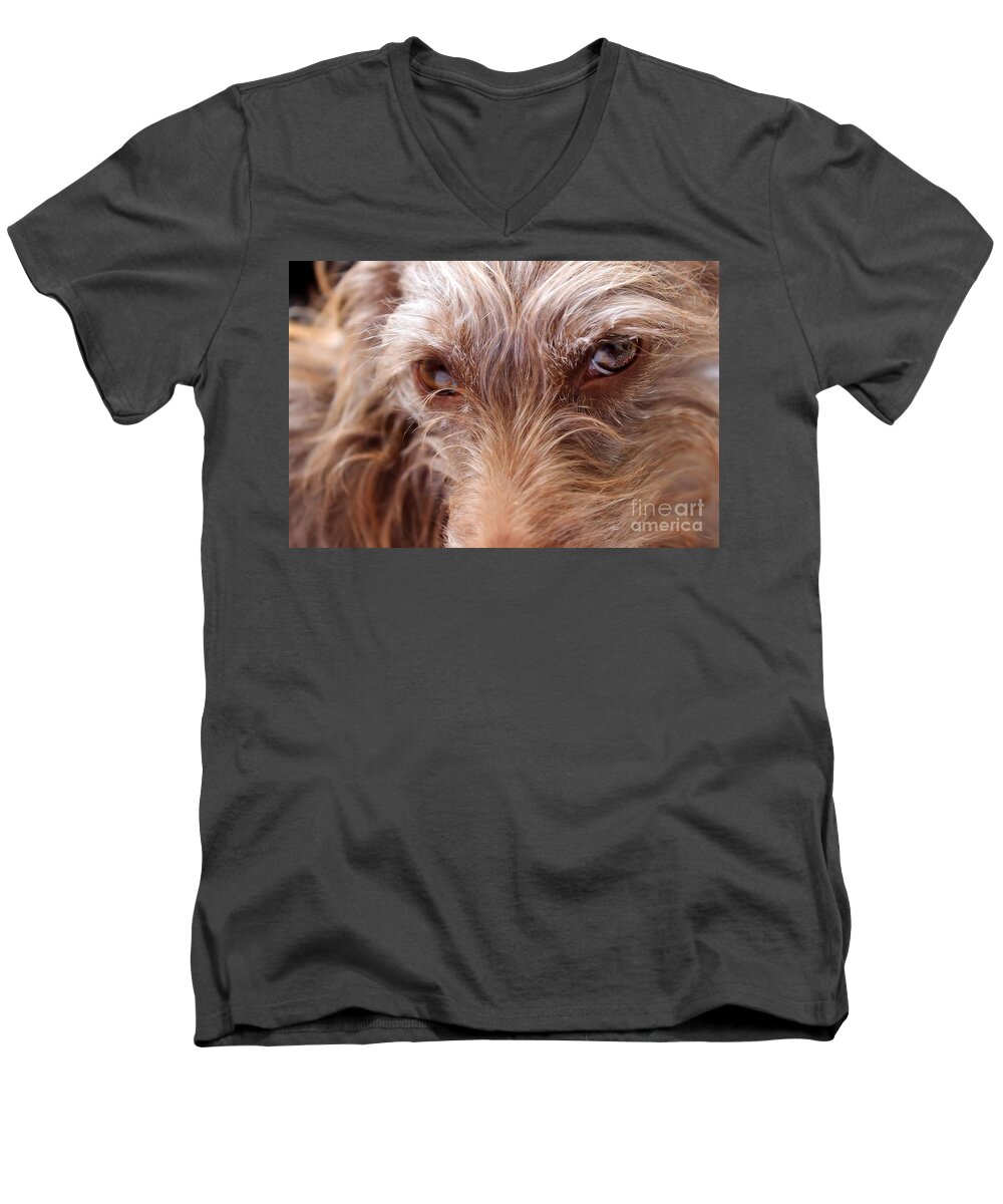 Brown Men's V-Neck T-Shirt featuring the photograph Dog Stare #1 by Janice Byer