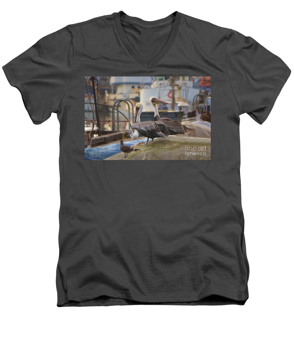 Pelican Men's V-Neck T-Shirt featuring the photograph Pelican Duo #1 by Donna Greene