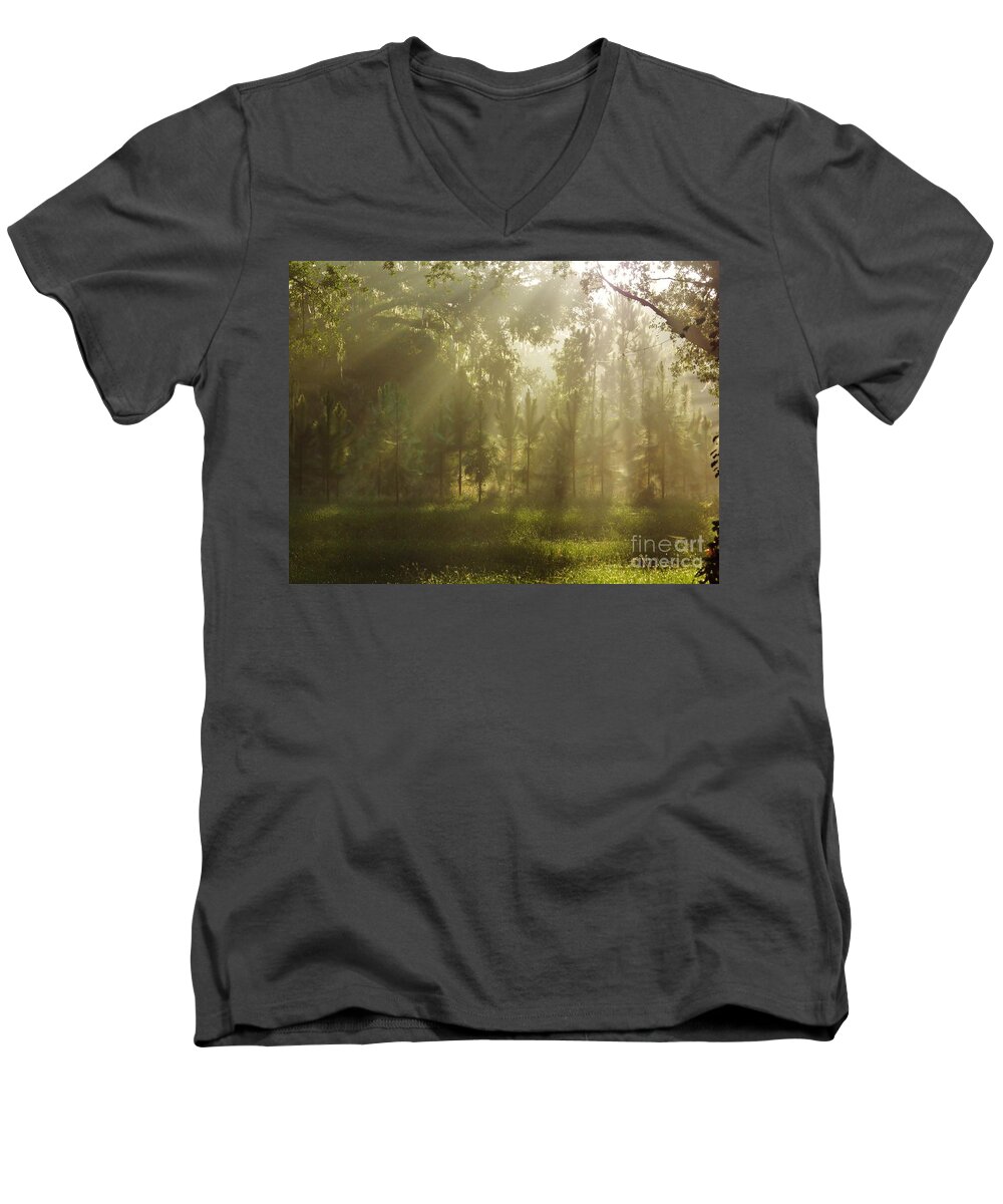 Sunshine Men's V-Neck T-Shirt featuring the photograph Sunshine Morning by D Hackett
