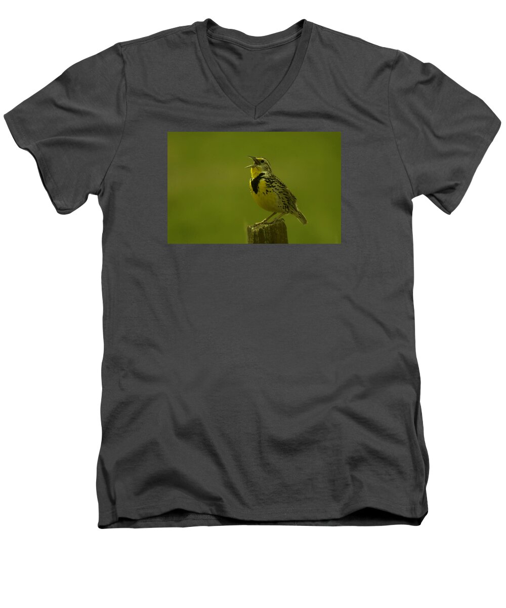 Birds Men's V-Neck T-Shirt featuring the photograph The Meadowlark Sings #2 by Jeff Swan