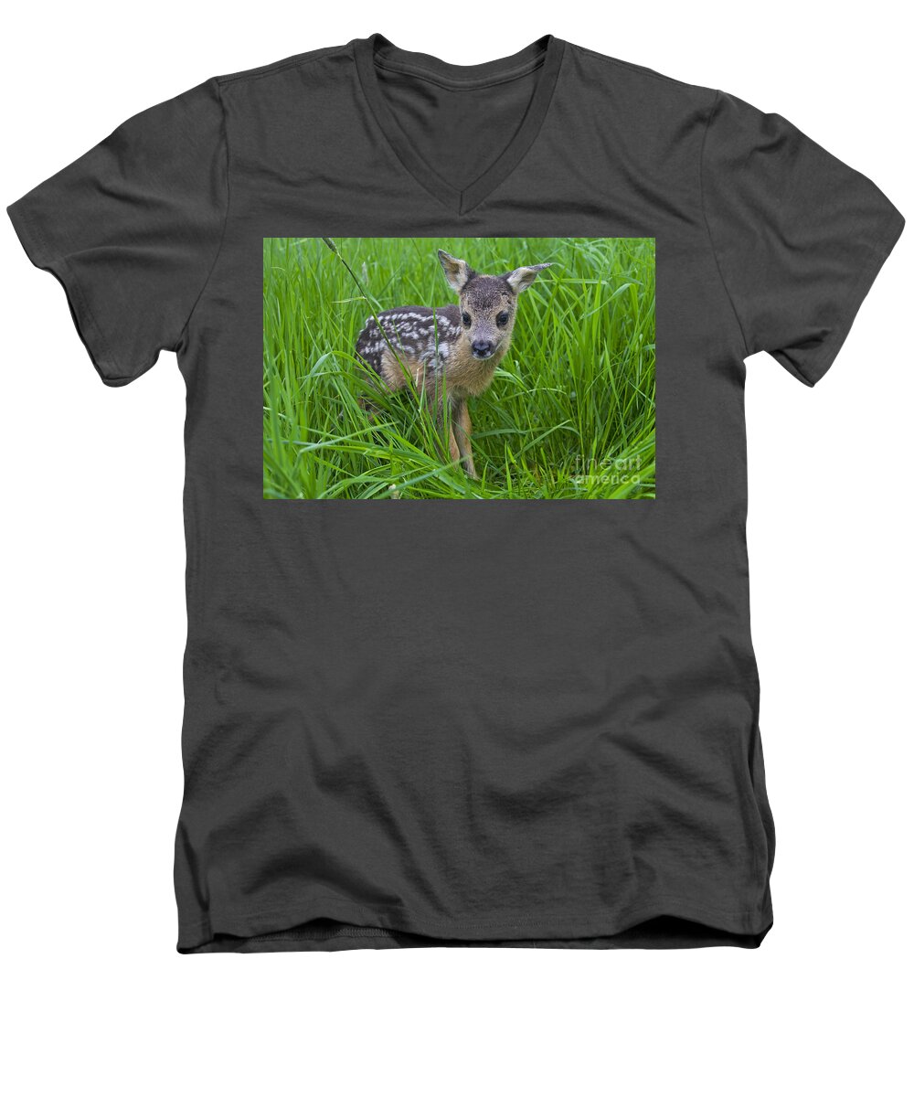 Roe Deer Men's V-Neck T-Shirt featuring the photograph 131018p162 by Arterra Picture Library
