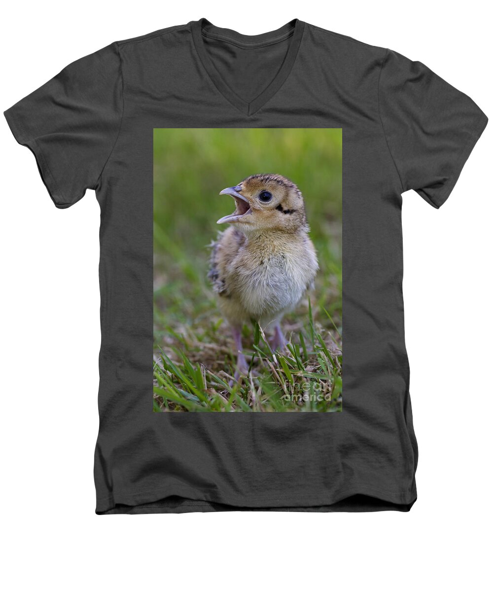 Young Men's V-Neck T-Shirt featuring the photograph 150112p305 by Arterra Picture Library