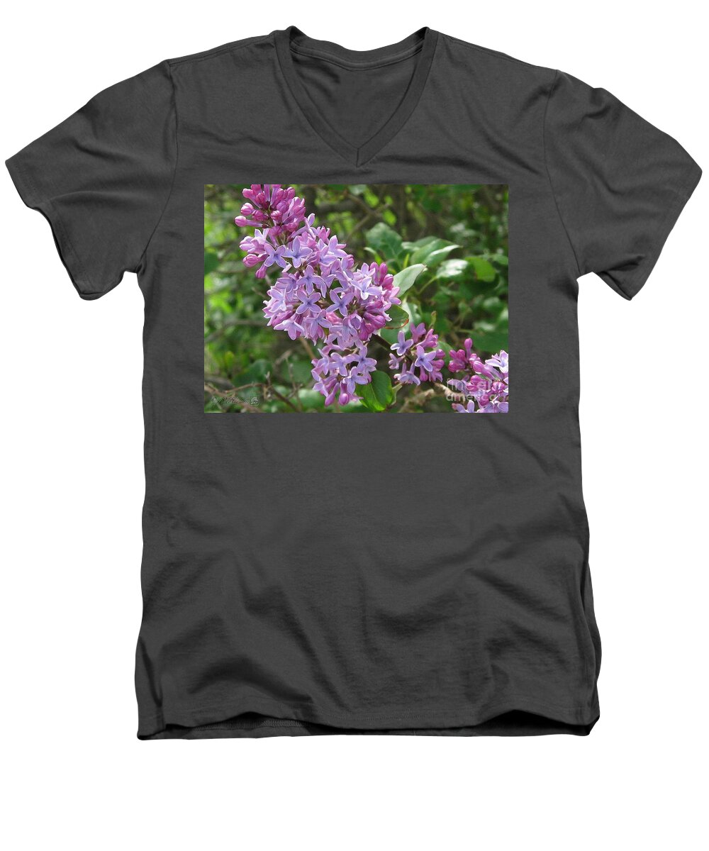 Common Purple Lilac Men's V-Neck T-Shirt featuring the painting Common Purple Lilac #1 by J McCombie