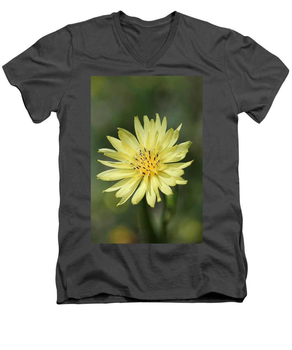 Dandelion Men's V-Neck T-Shirt featuring the photograph Dandelion #1 by Ester McGuire