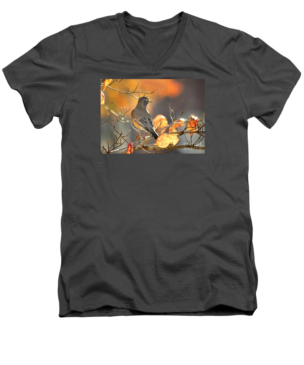 Nature Men's V-Neck T-Shirt featuring the photograph Glowing Robin by Nava Thompson