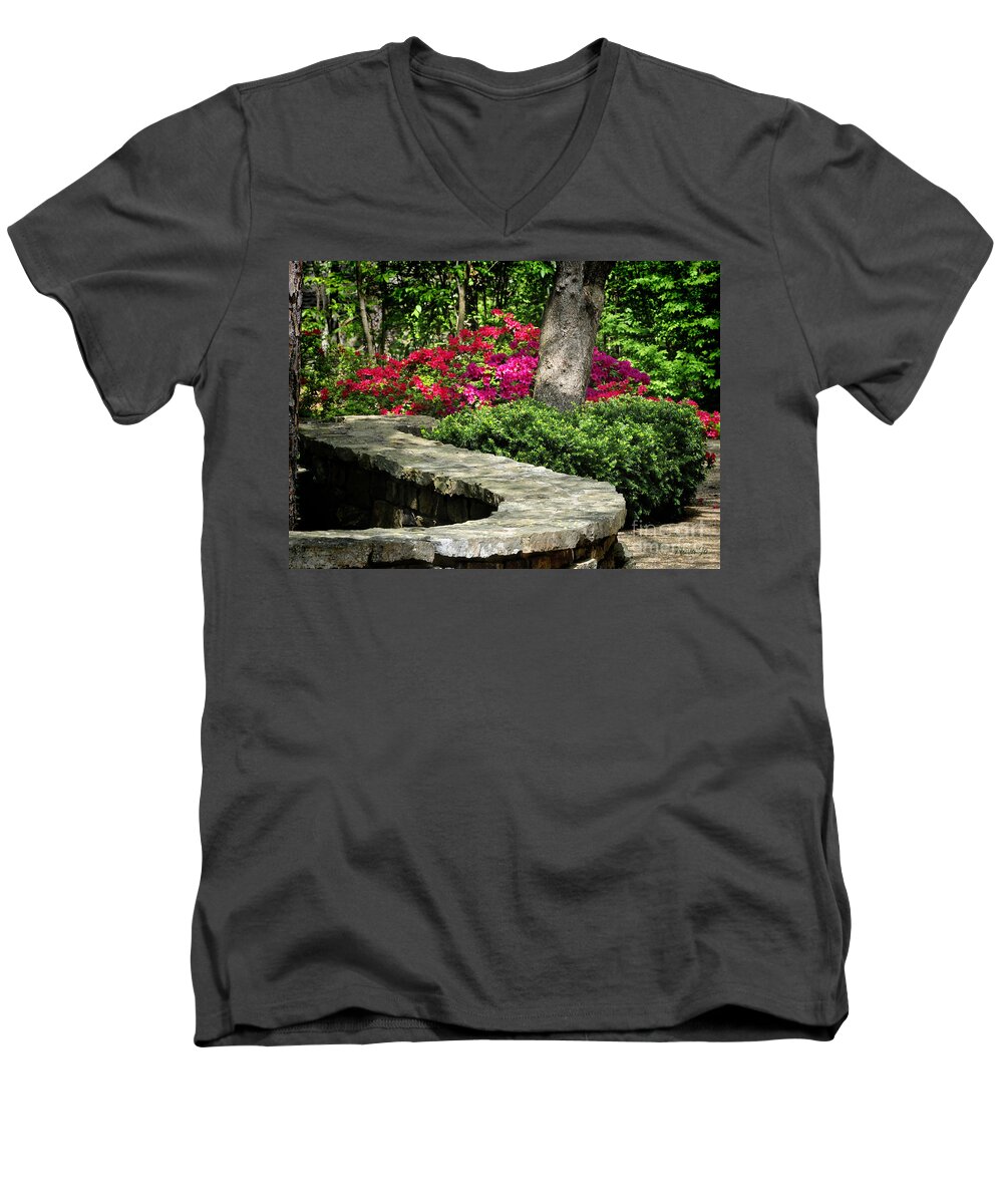 Nature Men's V-Neck T-Shirt featuring the photograph Stay on the Path by Nava Thompson