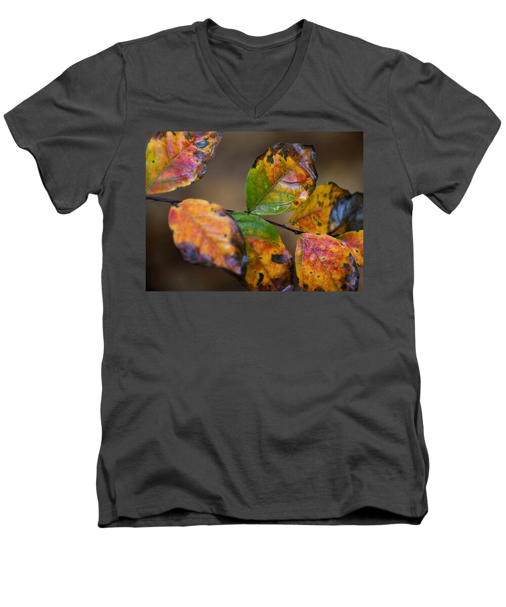 Autumn Leaves Men's V-Neck T-Shirt featuring the photograph Turning Leaves #2 by Stephen Anderson