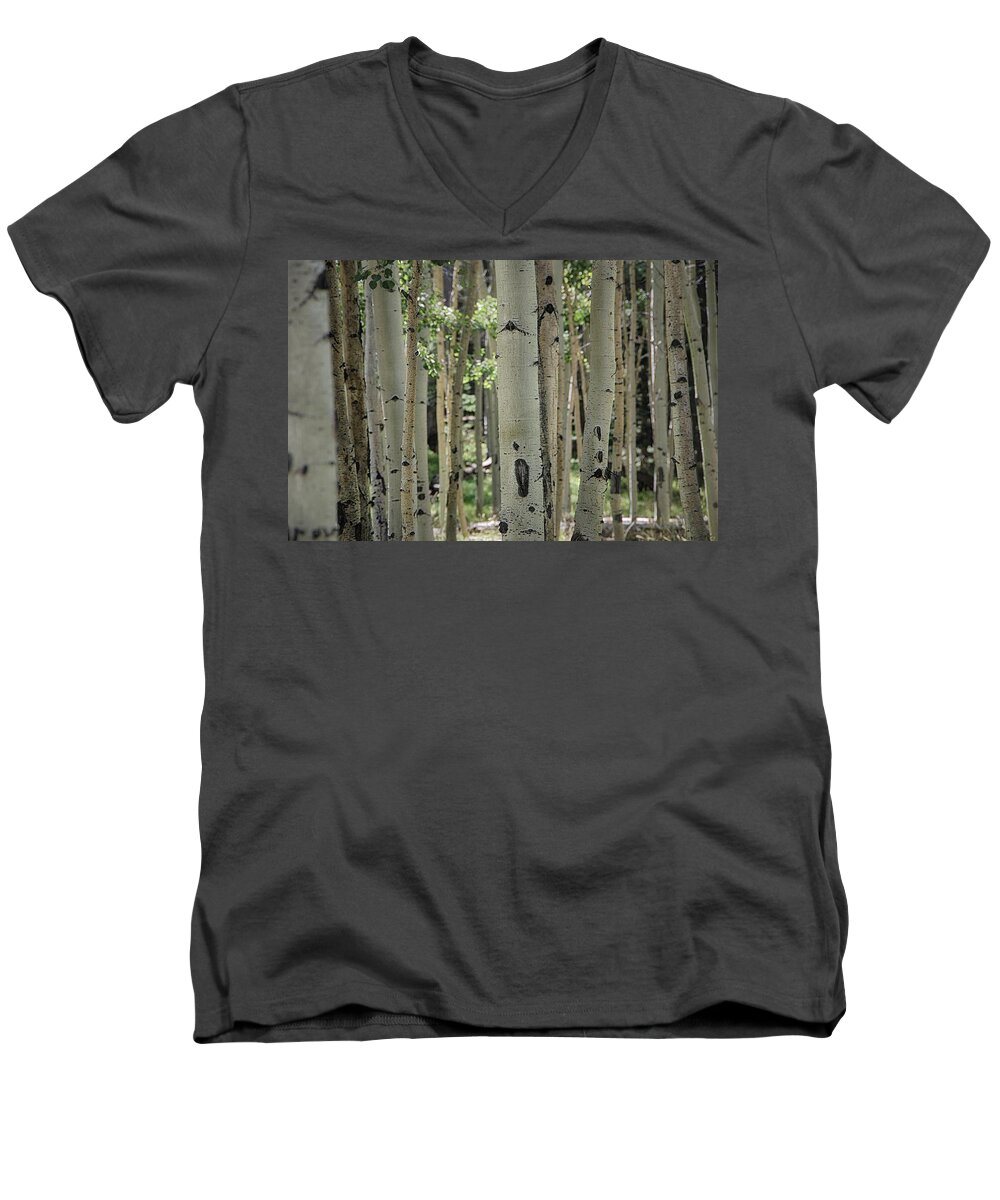 Birch Trees Men's V-Neck T-Shirt featuring the photograph A Change of Weather by Saija Lehtonen