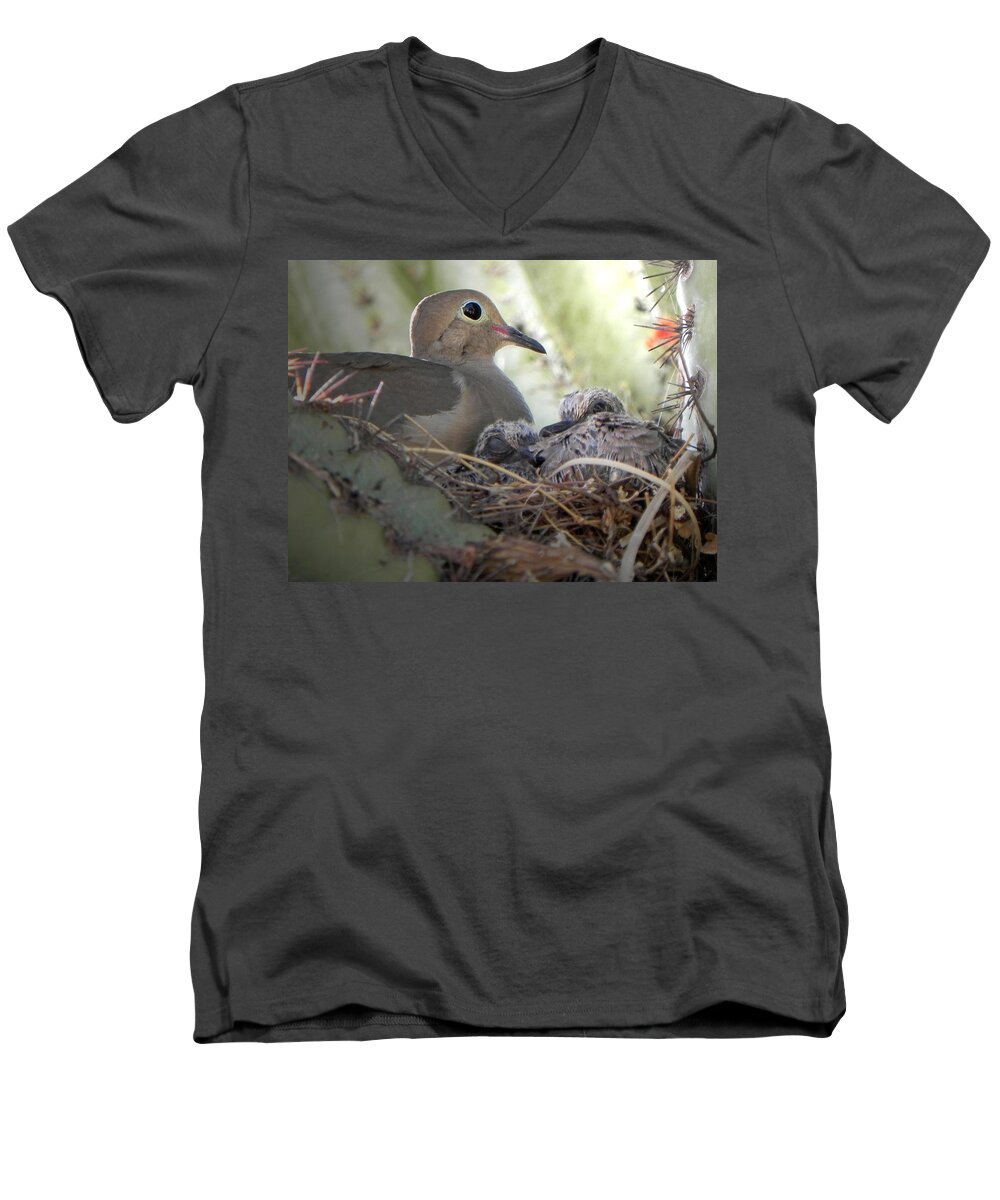 Mourning Dove Men's V-Neck T-Shirt featuring the photograph A Mothers' Love by Deb Halloran