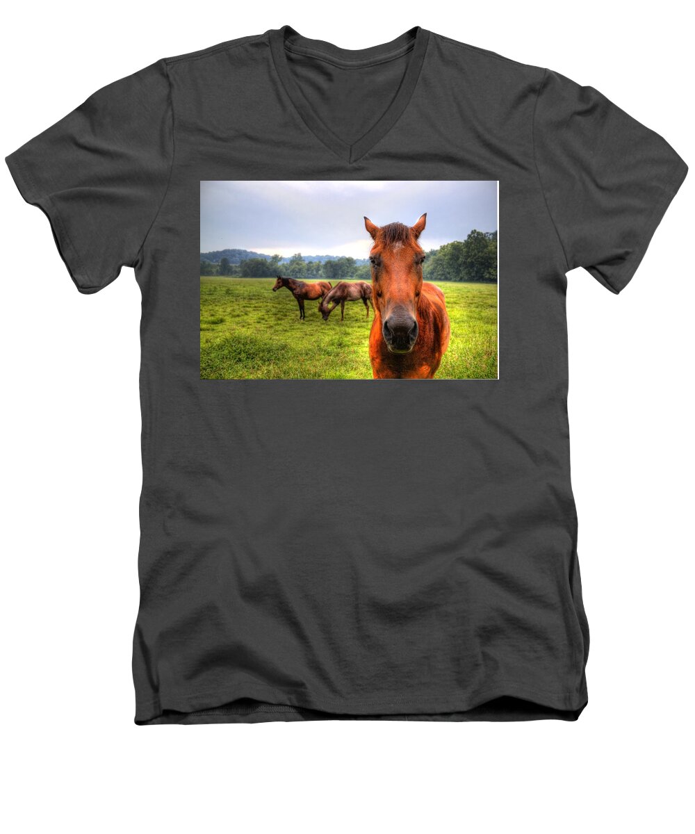 Horse Men's V-Neck T-Shirt featuring the photograph A starring horse 2 by Jonny D